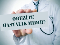 Bağırsak mikrobiotası ve obezite